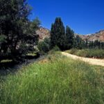 Hoces del río Riaza